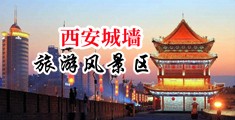 插骚妇32p中国陕西-西安城墙旅游风景区